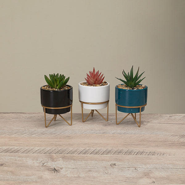Potted Succulent on Metal Stand -