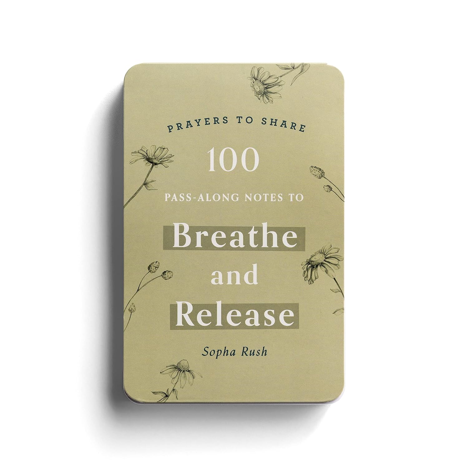 Prayers to Share: 100 Pass Along Notes to Breathe and Release