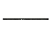 Raritan Dominion PX3-5529-E2V2K1 24-Outlet PDU