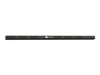 Raritan PX3-4695YV-E2M10N2V2 24-Outlet PDU