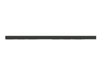 Raritan PX3-4695YV-E2M10N2V2 24-Outlet PDU