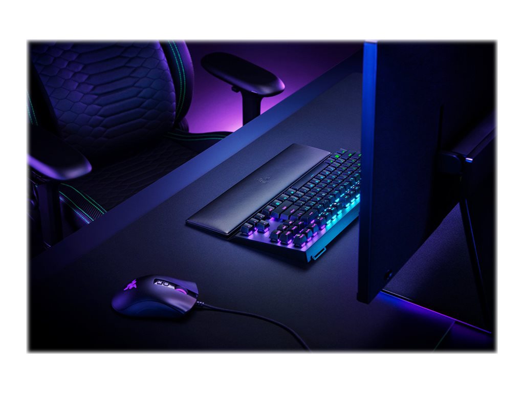 Razer Standard Edition - Wrist rest - tenkeyless