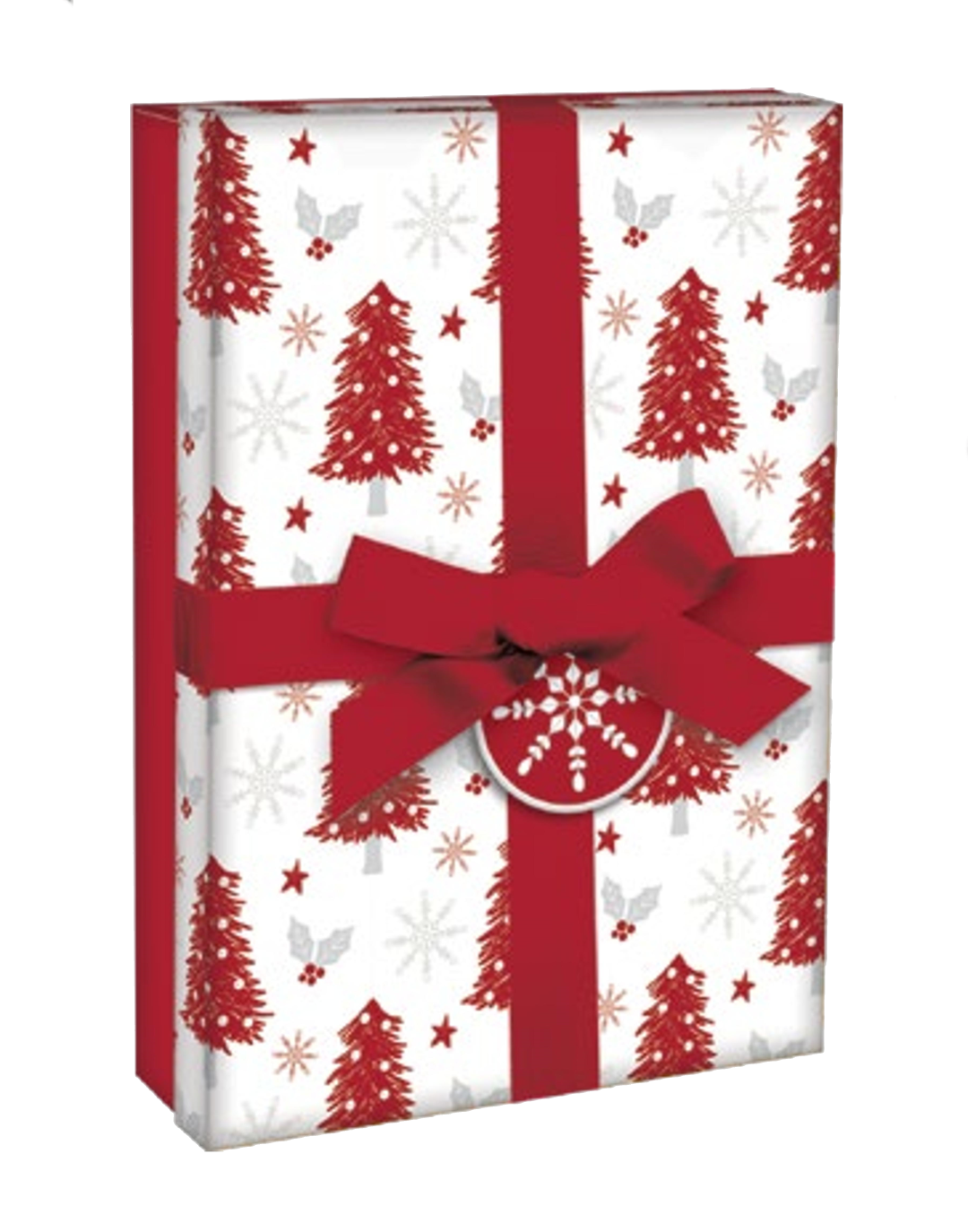 Rectangular Giftbox with Ribbon -