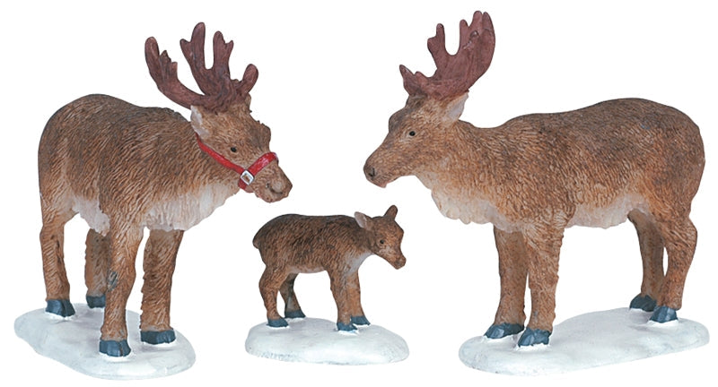 Reindeer Family - Set of 3