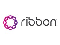 Ribbon SBC 1000 Software with 4 FXO