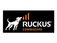 Ruckus Wireless Standard Power Cord - For Power Supply - 110 V AC - United States
