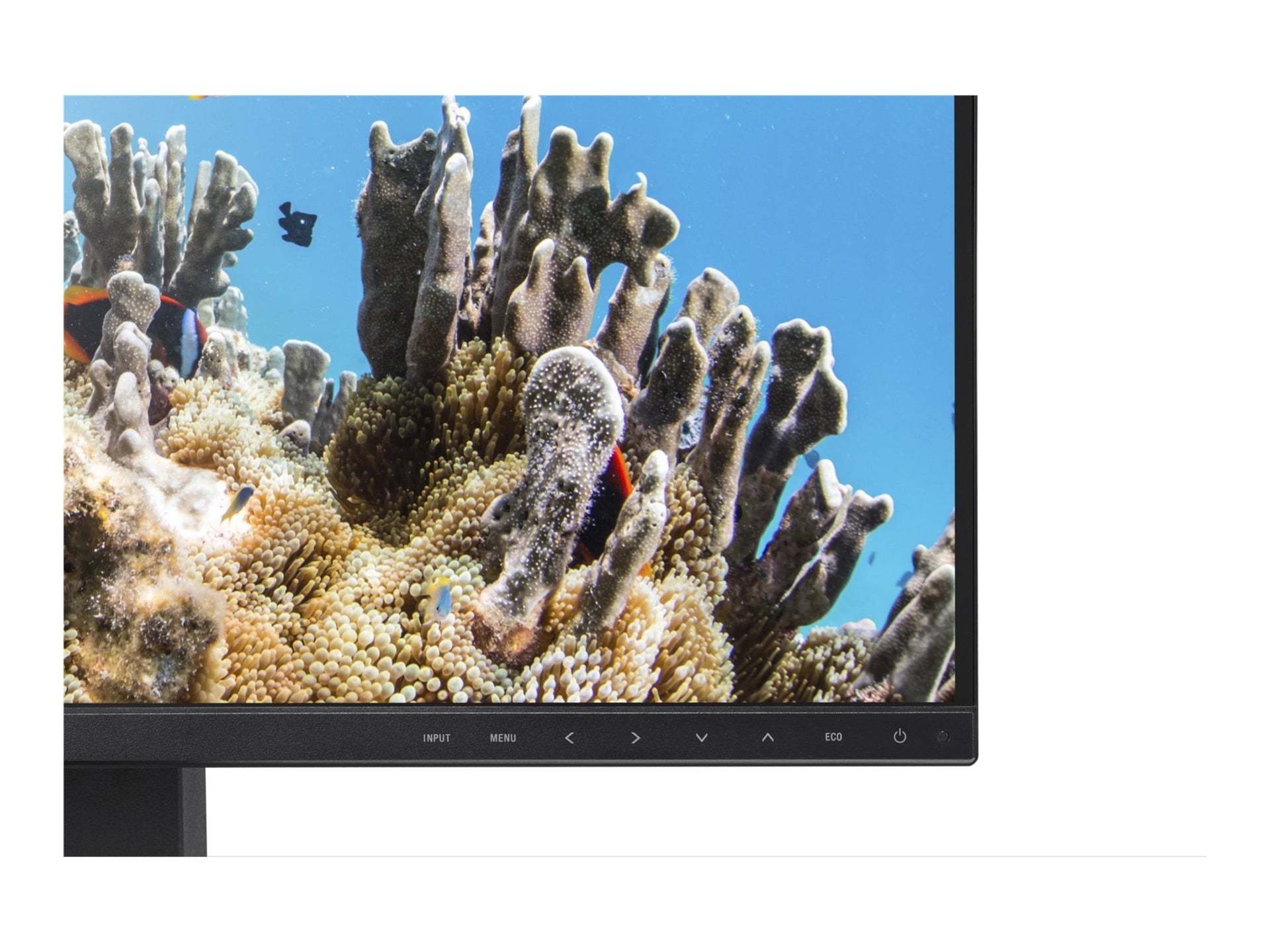 SHARP 24" WUXGA Business Monitor with 65W USB-C Power Delivery