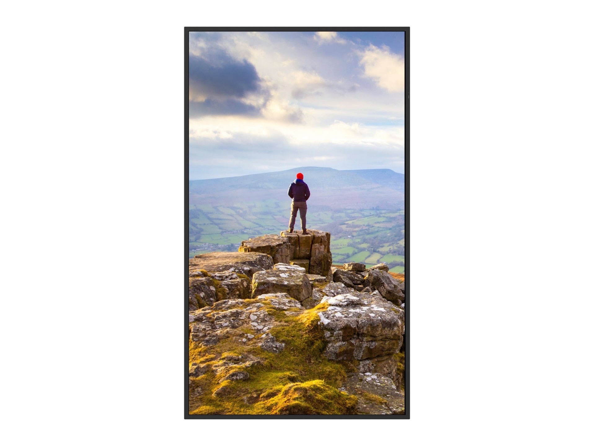 SHARP PN-E659 65" Commercial 4K LCD Display for Retail & Corporate