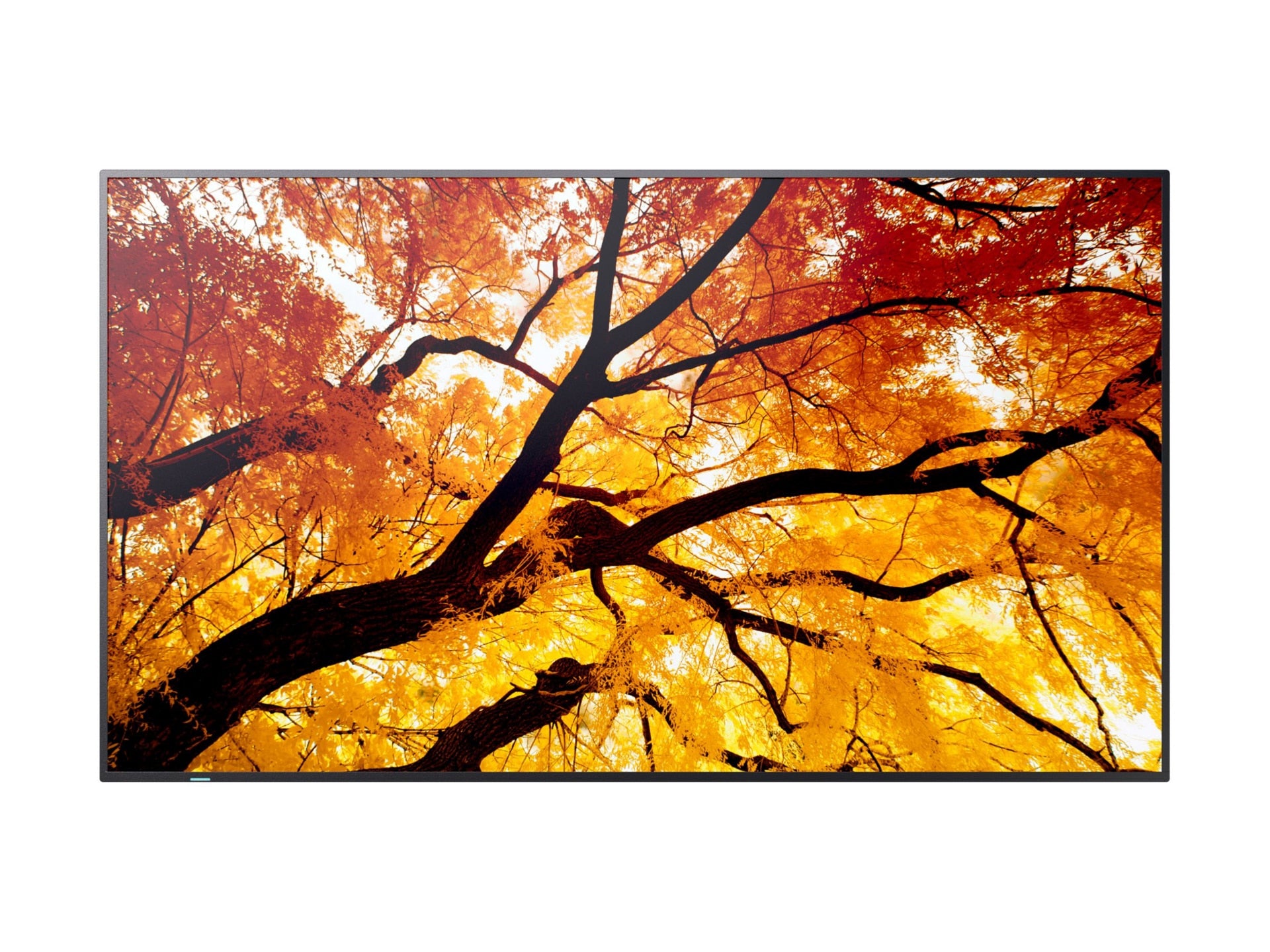 SHARP PN-M432 43" UHD TFT LCD Display 3840x2160 for Professionals