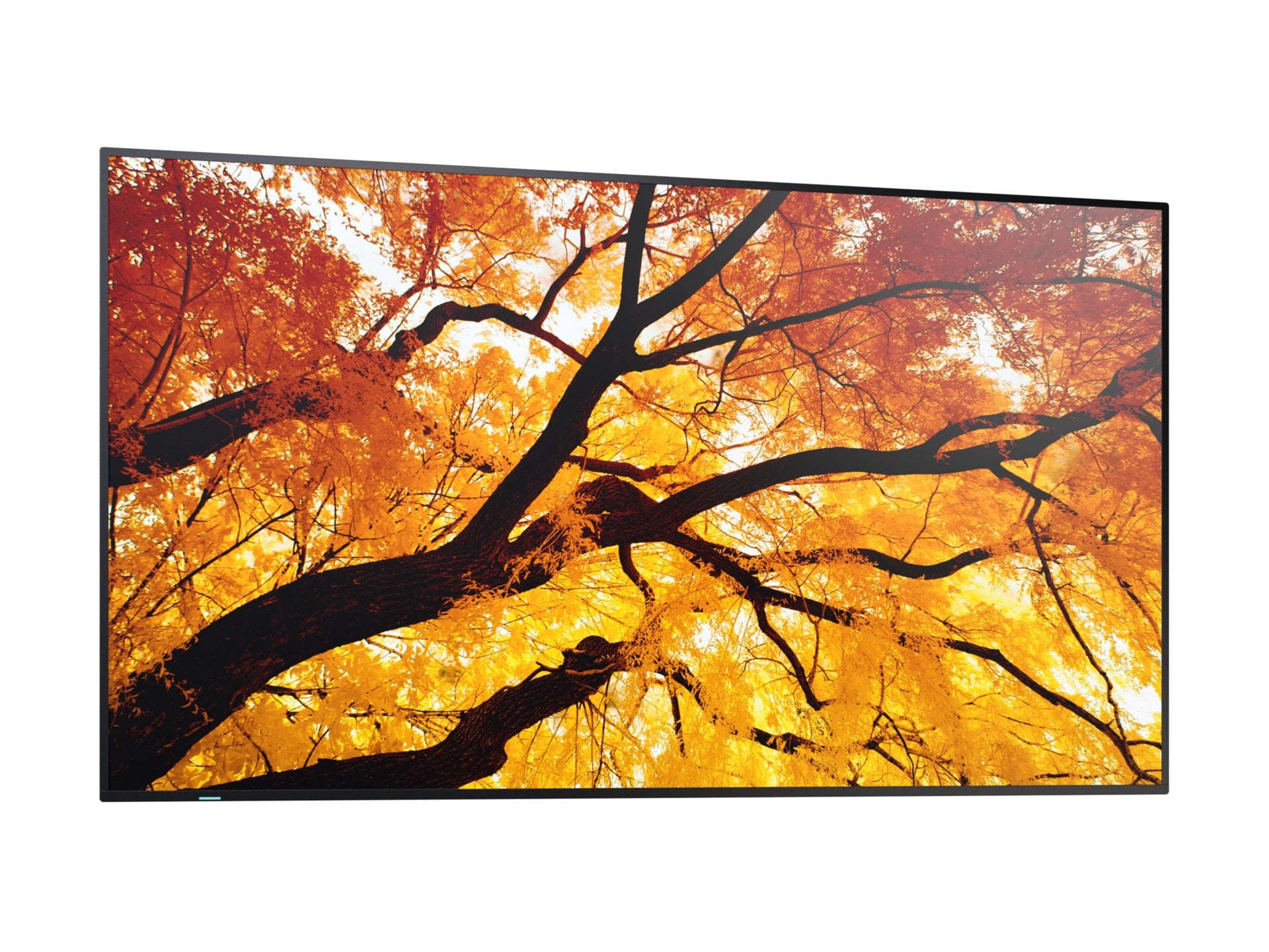 SHARP PN-M862 86" 4K UHD LED Backlight Display for Pro Use