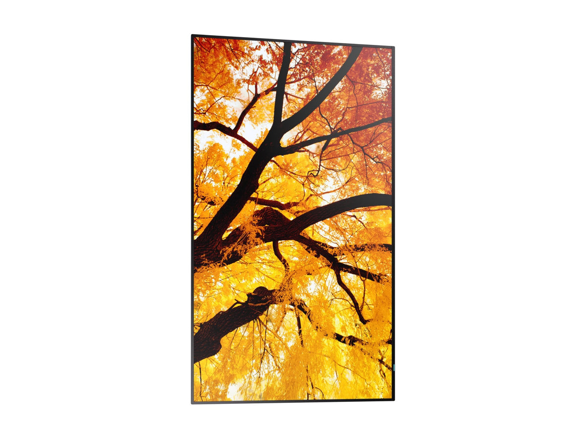 SHARP PN-M982 97.5" 4K UHD TFT LCD Display for Professional Use