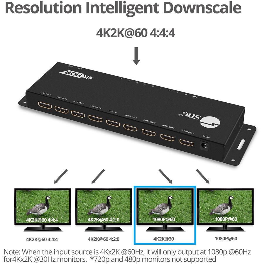 SIIG 1x8 HDMI 2.0 HDR Splitter Distribution Amplifier with EDID Management - 4Kx2K 60Hz CE-H23D11-S1