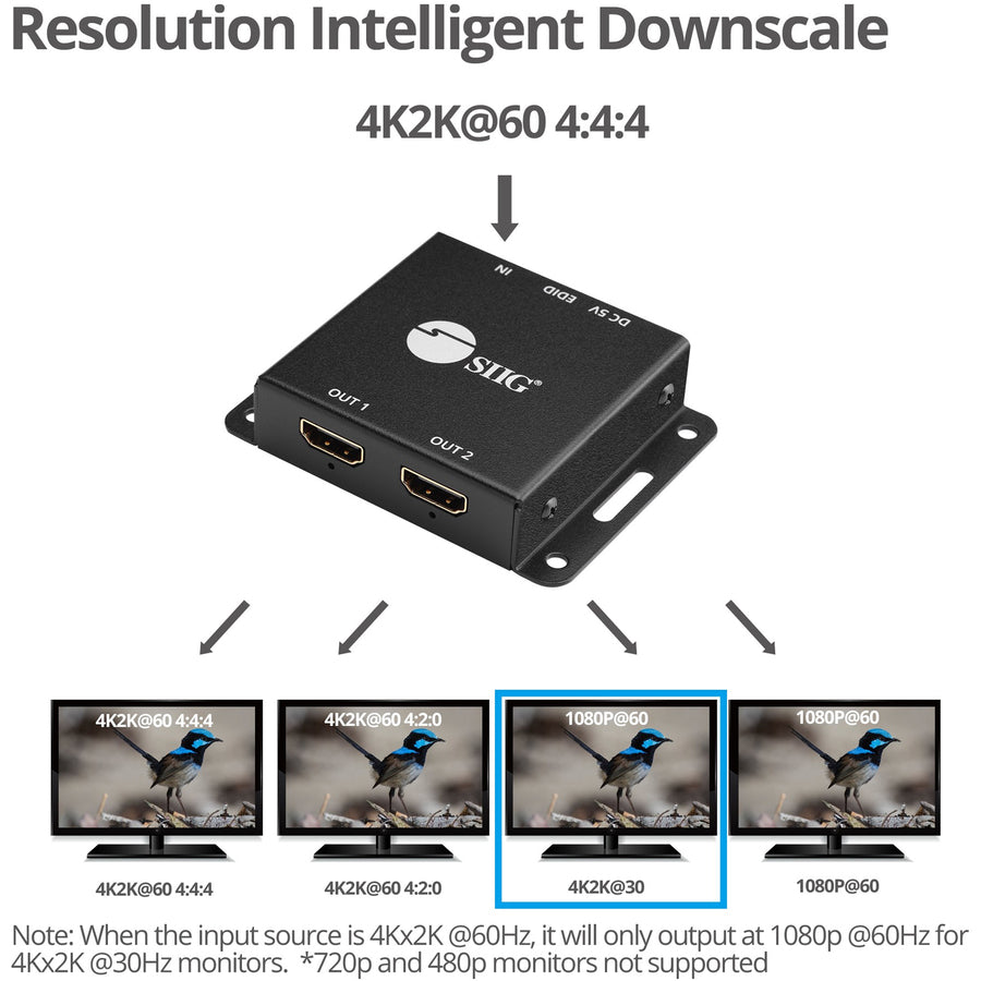 SIIG 2-Port HDMI 2.0 HDR Mini Splitter Amplifier with EDID Management CE-H23K11-S1