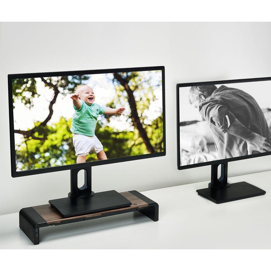 SIIG Stylish Foldable Monitor Stand with USB Hub CE-MT2Q12-S1