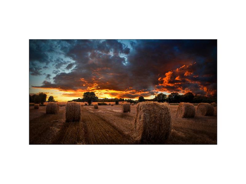 Samsung VM46B-U - 46 Diagonal Class VMB-U Series LED-backlit LCD display - digital signage - 1080p 1920 x 1080"