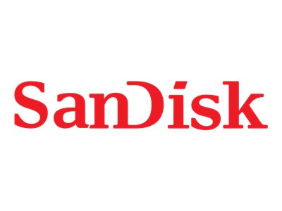 SanDisk AF3 - Flash memory card - 64 GB - SD