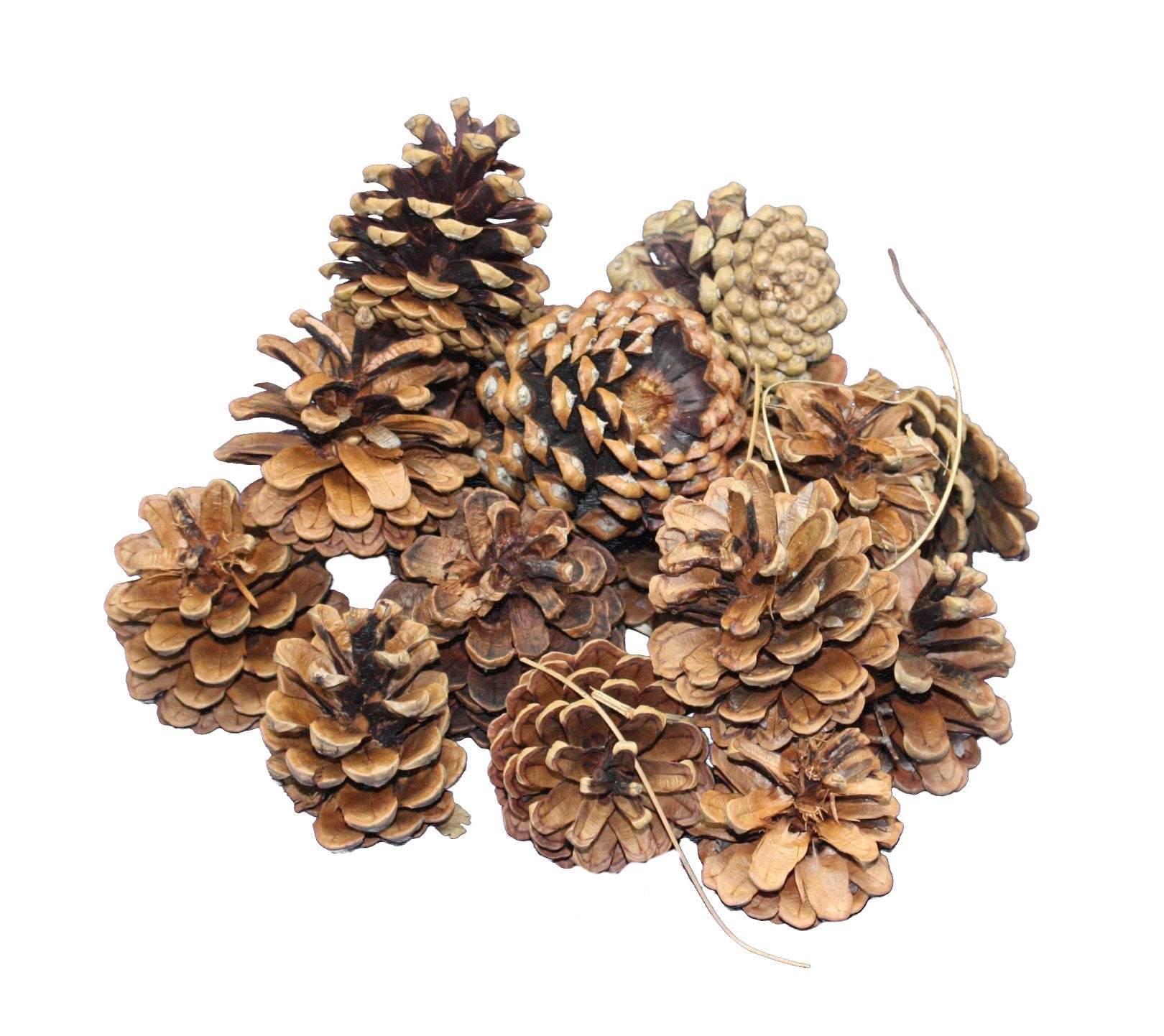 Scented Pinecones - 3 Quart Bag
