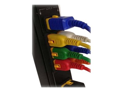 Schneider Electric Color Coded Locking Power Cords - Power cable - IEC 60320 C14 to power IEC 60320 C13 - 3 ft - green