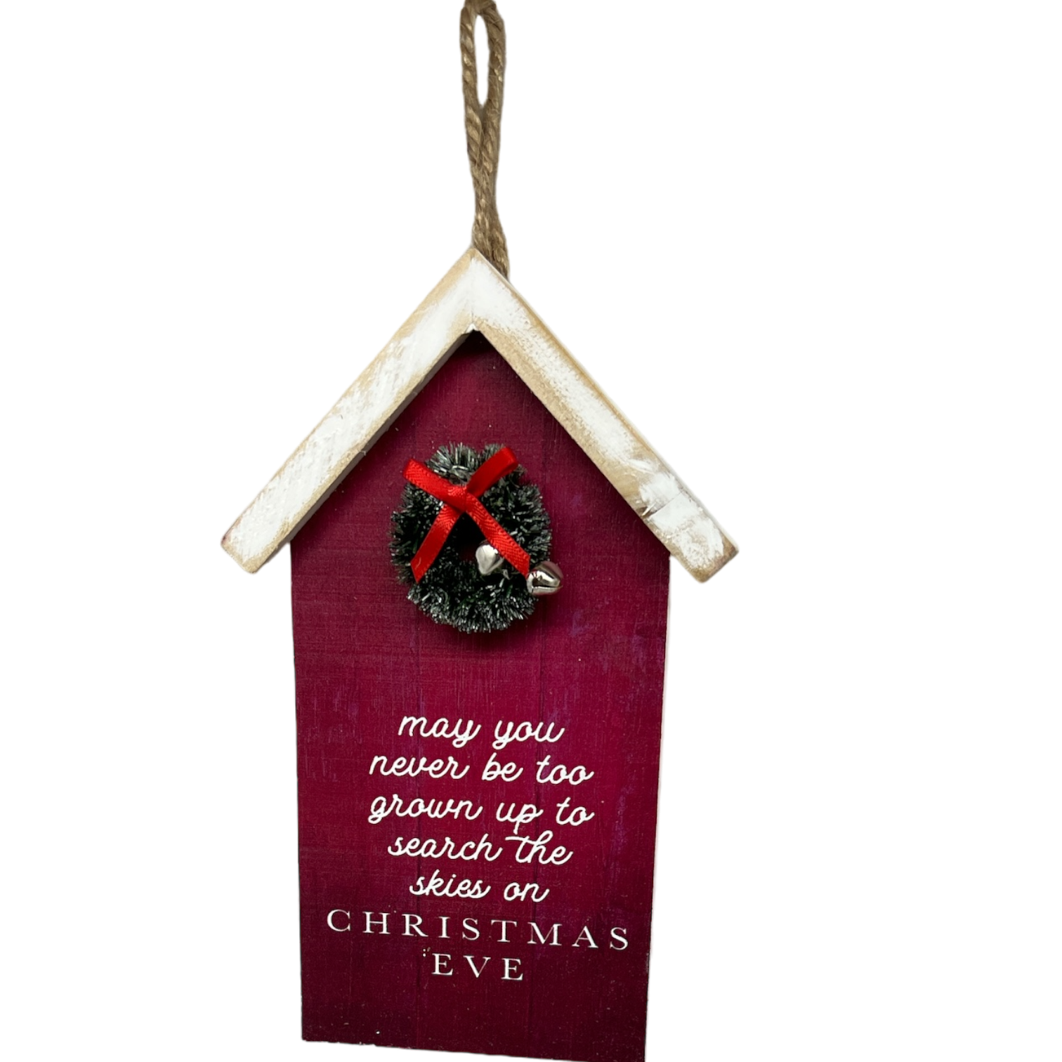 Search The Skies Wooden Ornament