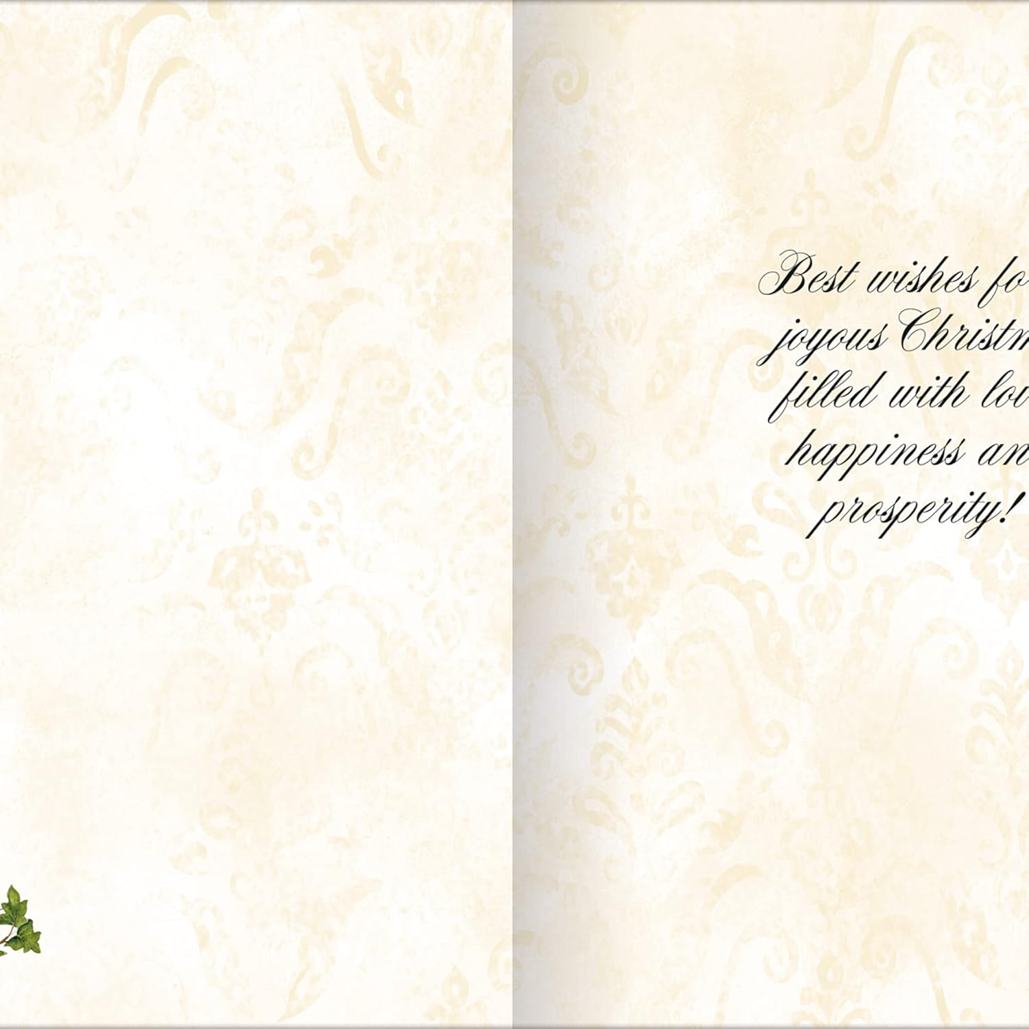 Season To Believe Boxed Christmas Cards