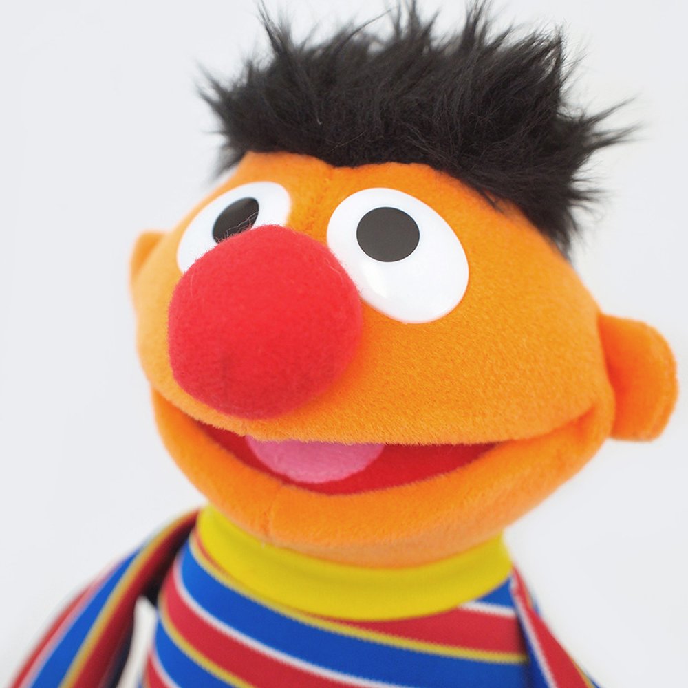 Sesame Street Ernie Doll