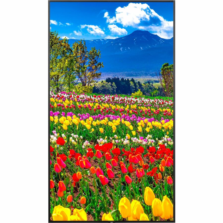 Sharp NEC Display 75" Ultra High Definition Professional Display - 75" LCD - In-plane