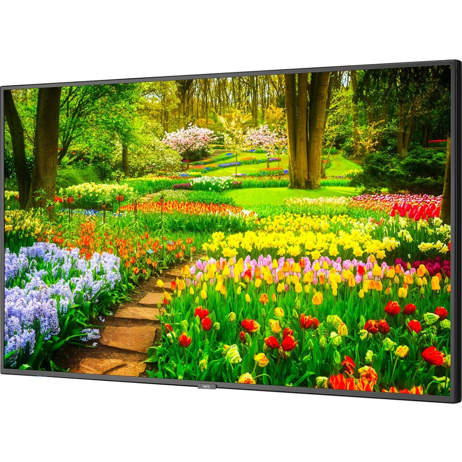 Sharp NEC Display MultiSync M491-MPI4E Digital Signage Display/Appliance