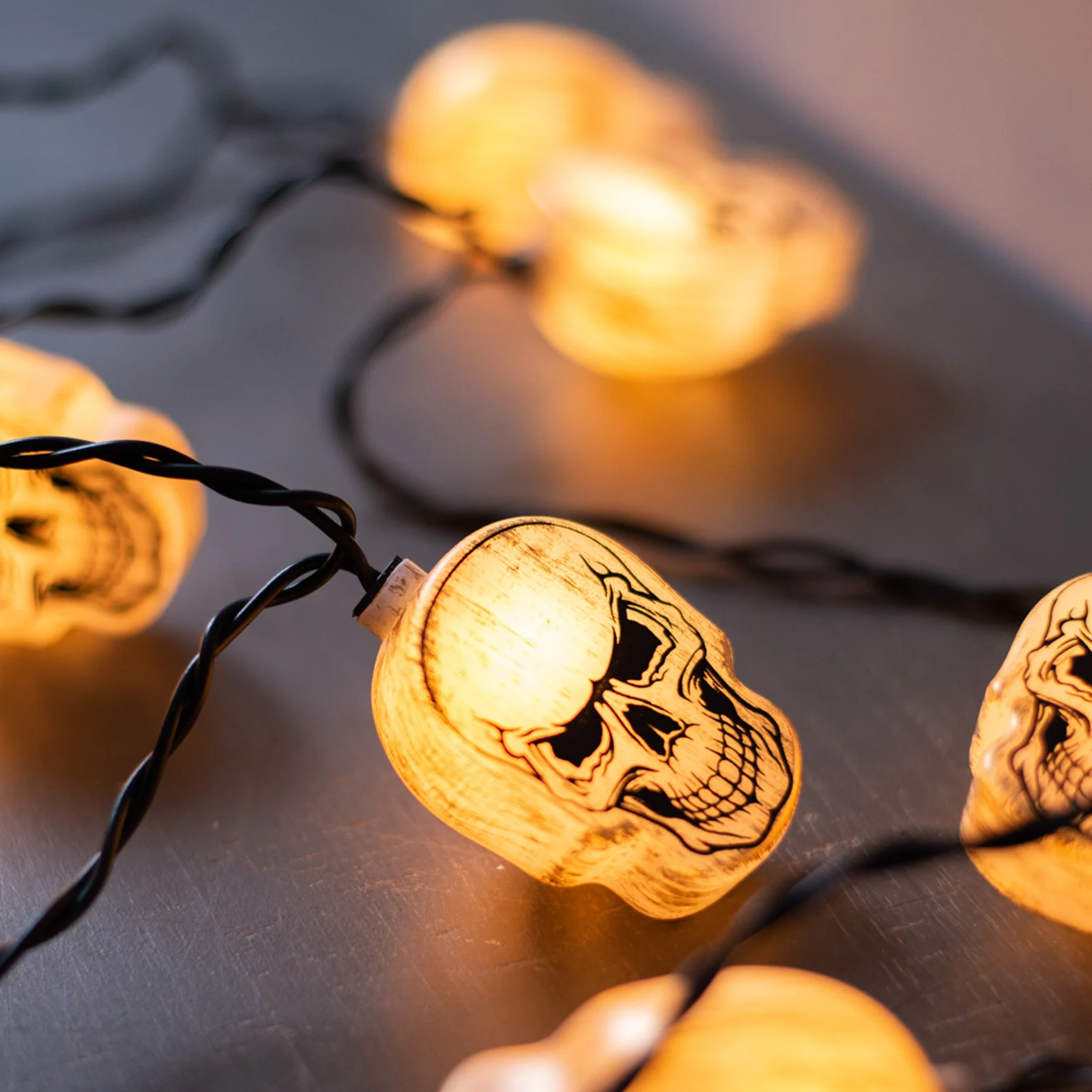 Skull Head 10 Light String Light Set