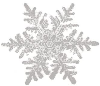 Snowflake Embossed Placecards