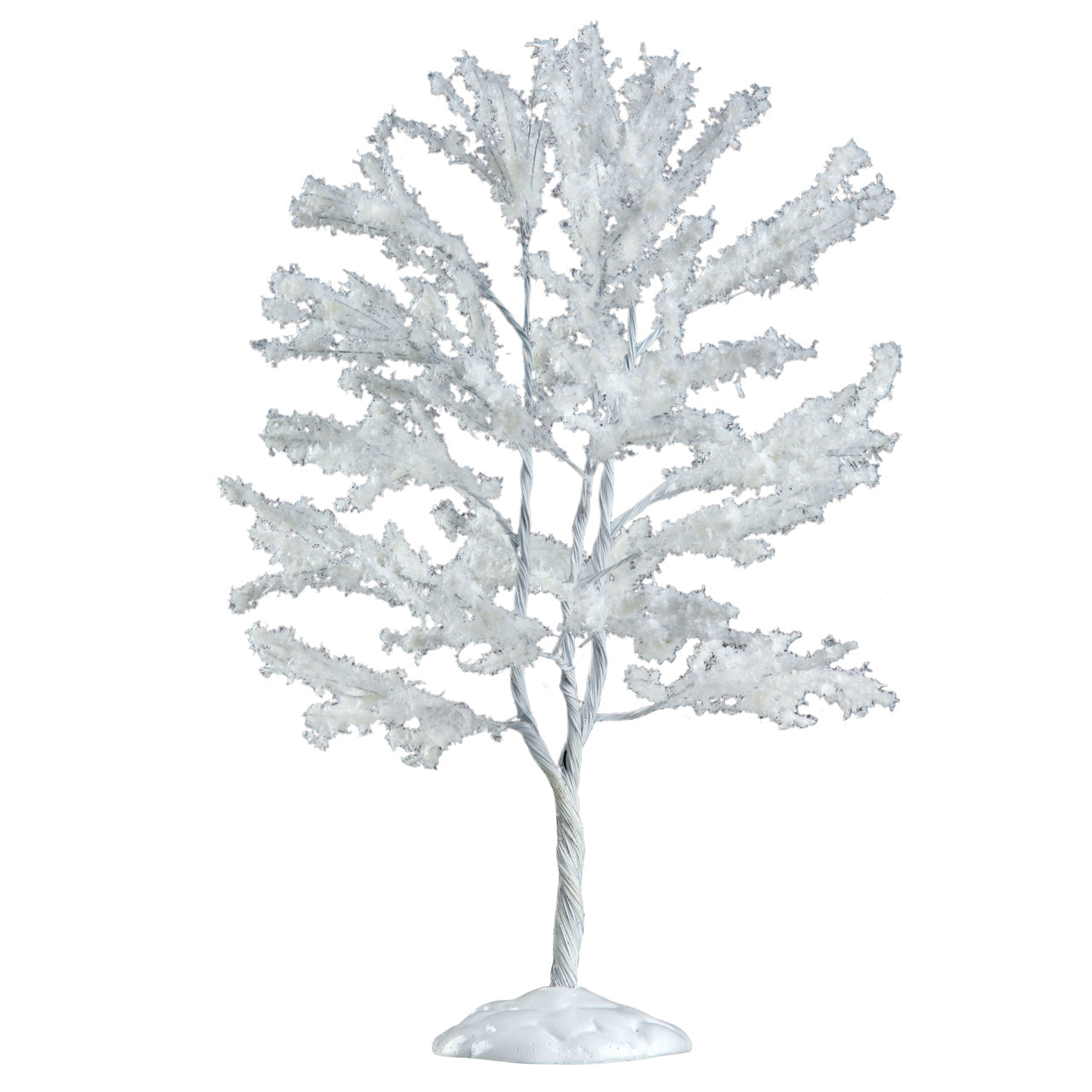 Snowy Black Walnut Tree