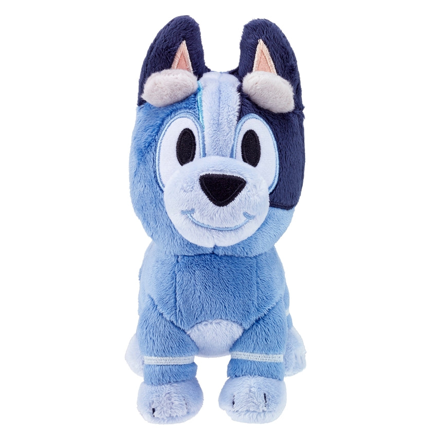 Socks of Bluey Plush