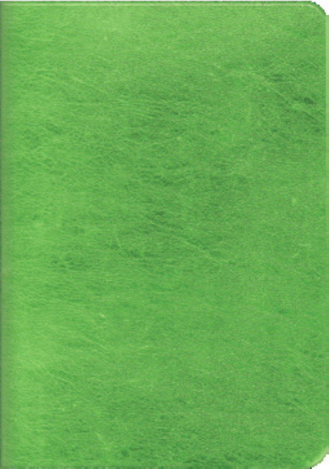 Soft Cover Foil Cover Mini Notebook 3 pack - Green/Gray/Red