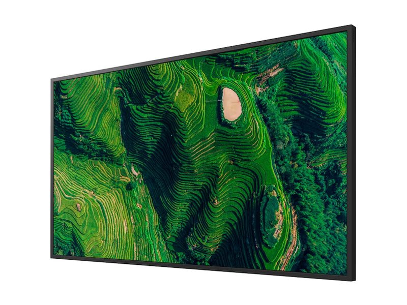Sony FW-43BZ35P 43" 4K HDR Professional Display