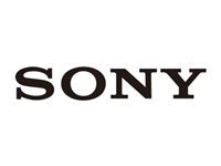 Sony Pro Wall Mount for Security Camera Dome, Network Camera - Black