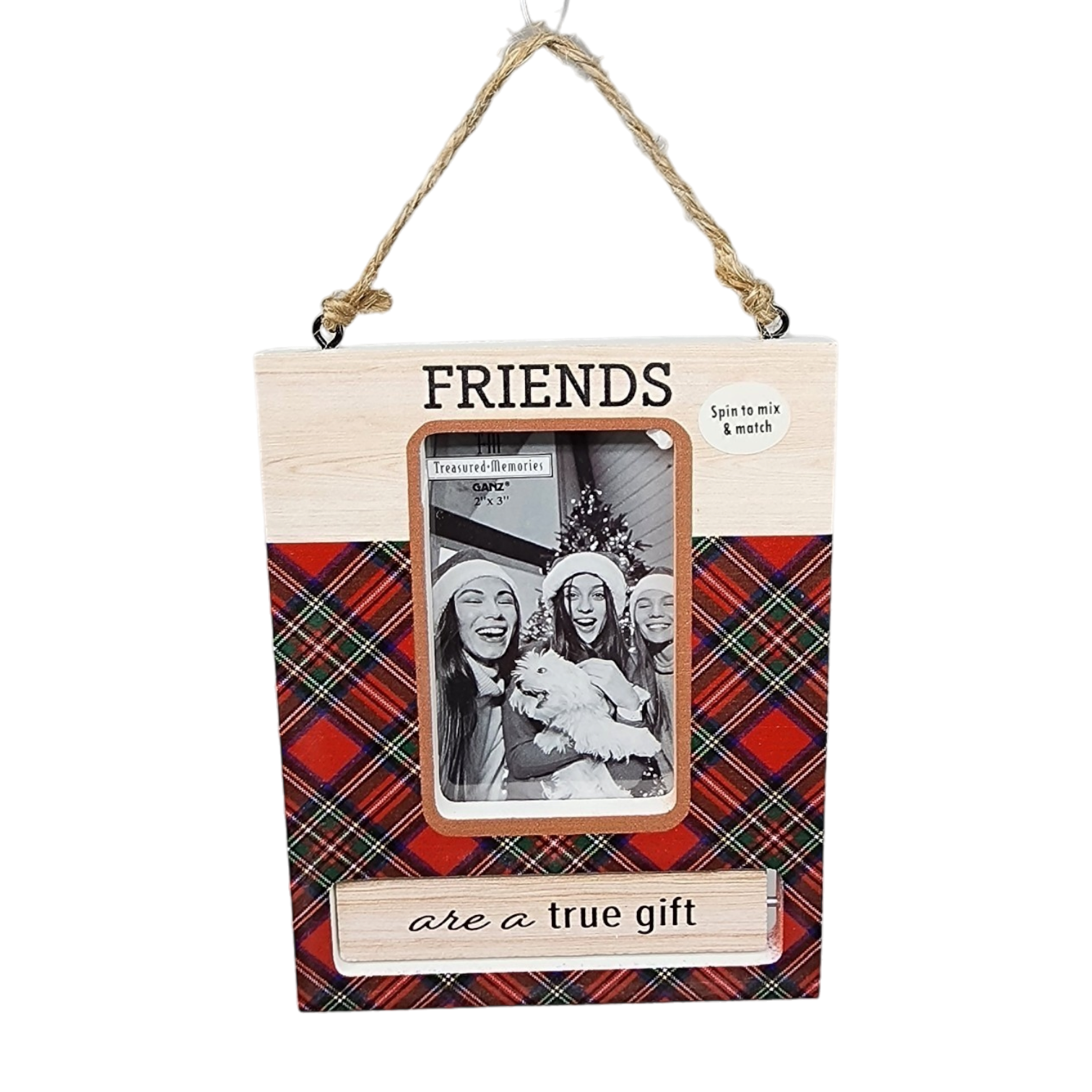 Spinning Frame Ornament - Friends