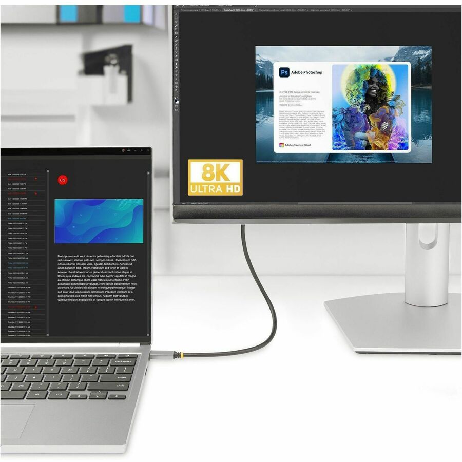 StarTech.com 6ft (2m) USB-C to HDMI Adapter Cable, 8K 60Hz, 4K 144Hz, HDR10, USB Type-C