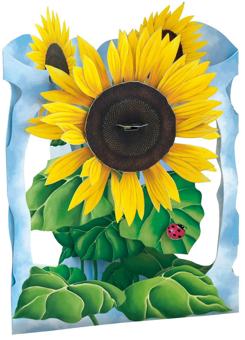 Sunflower - Swing Card