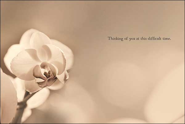 Sympathy Card - Thinking Of You At This Difficult Time