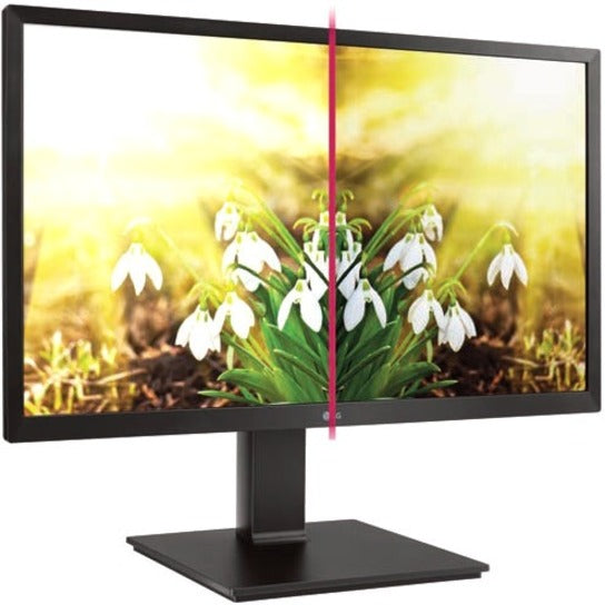 TAA Compliant Monitor 24 Inch - LG 24BP450Y-I Professional Display | TechSoft