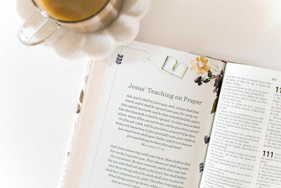 The KJV Prayer Map Bible [Mint Blossoms]