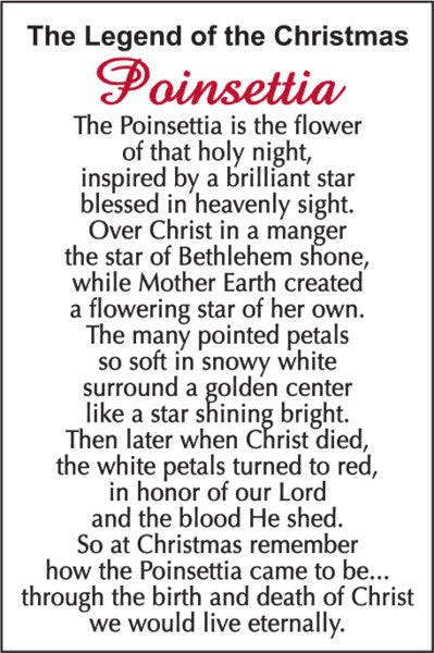 The Legend of the Christmas Poinsettia Charm