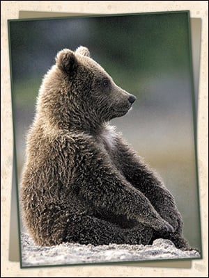 Thinking Of You Card - Sometimes I Just Sit And Ponder