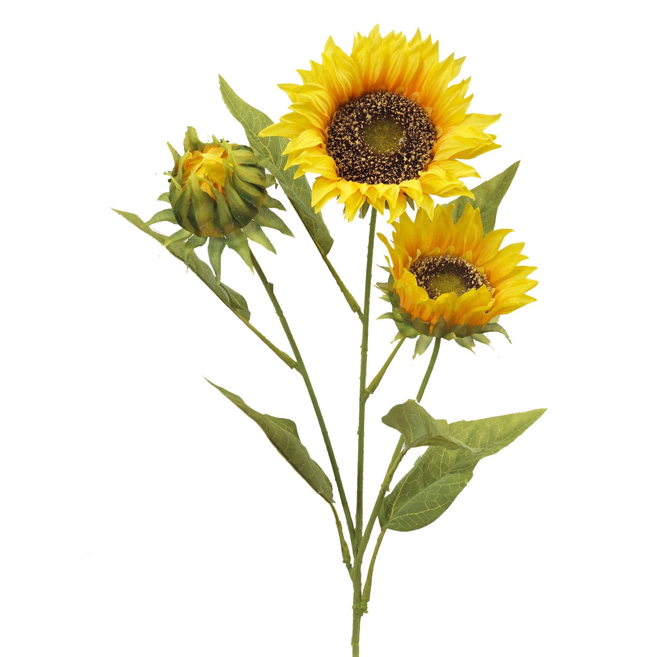 Three Bloom Sunflower Stem -