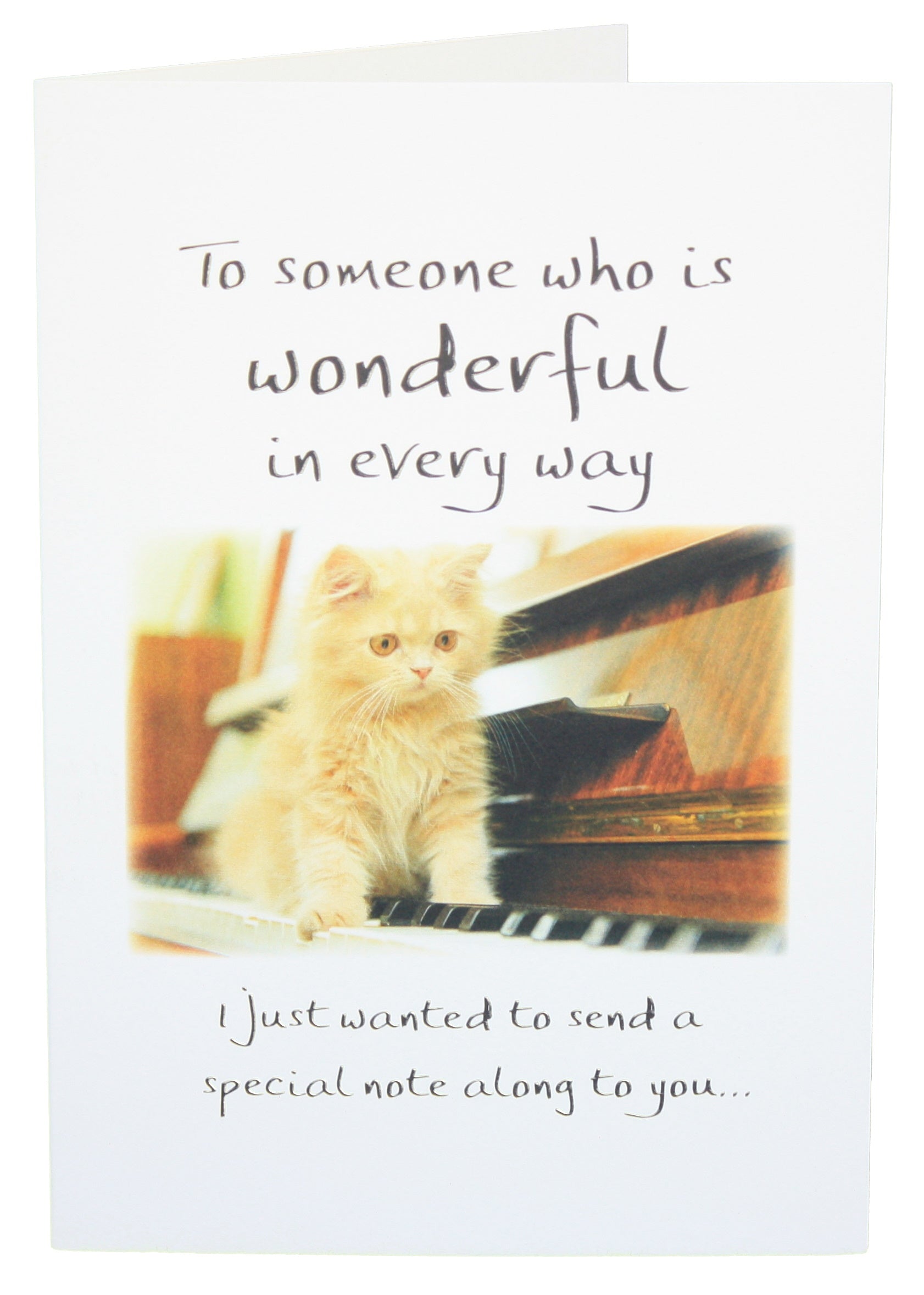 To Someone Who Is Wonderful In Every Way - Greeting Card