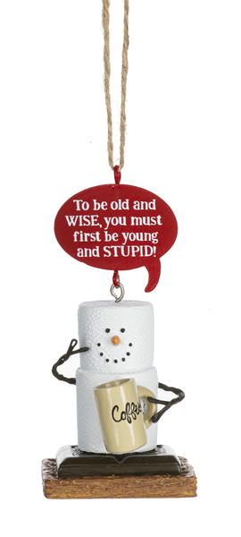 Toasted S'mores Aging Pun Ornament - First be Young and Stupid