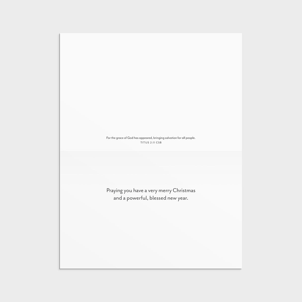 Tony Evans - Christ is the Meaning - 18 Christmas Boxed Cards