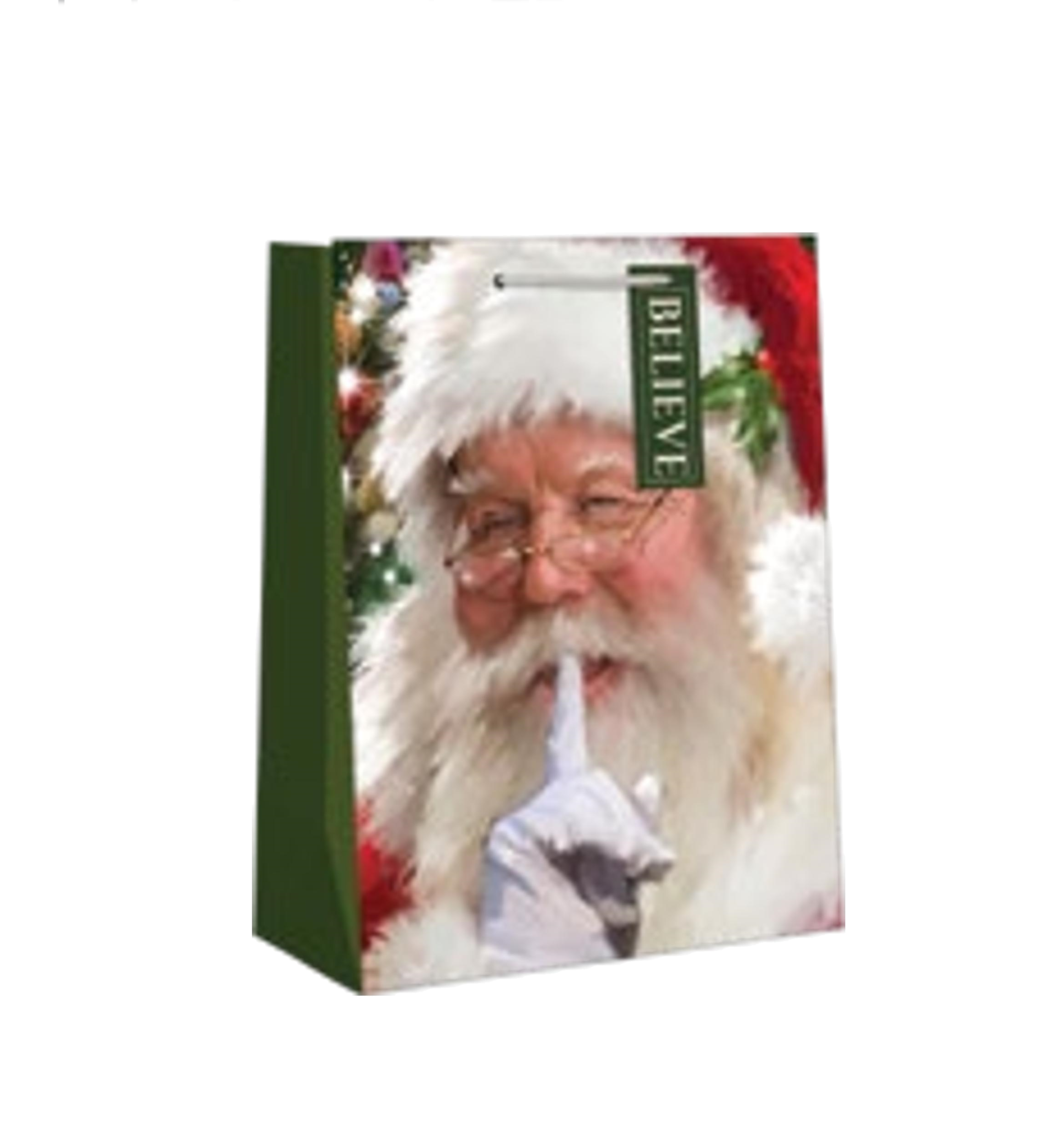 Traditional Small Gift Bag - Santa