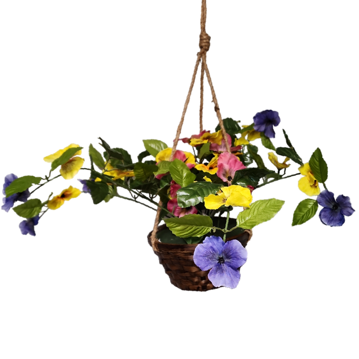 Trailing Pansy Flowers in 8" Hanging Bamboo Basket -