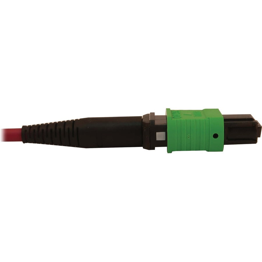 Tripp Lite 40/100/400G Multimode 50/125 Om4 Breakout Fiber Optic Cable (16F Mtp/Mpo-Apc To 8X Duplex Sn-Pc F/M), Lszh, Magenta, 3 M (9.8 Ft.)
