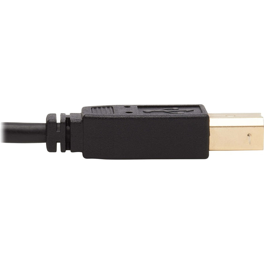 Tripp Lite Dvi Kvm Cable Kit - Dvi, Usb, 3.5 Mm Audio (3Xm/3Xm) + Usb (M/M), 6 Ft. (1.83 M)